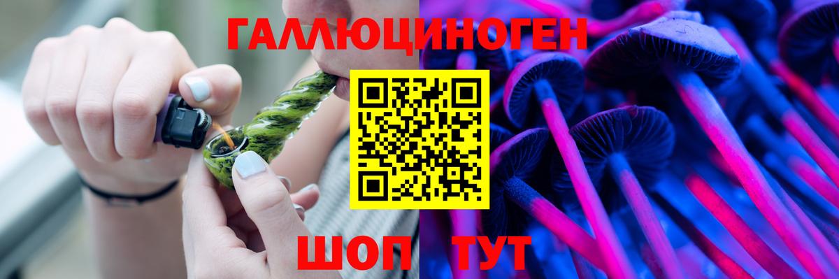 Галлюциногенные грибы Cubensis Балтийск