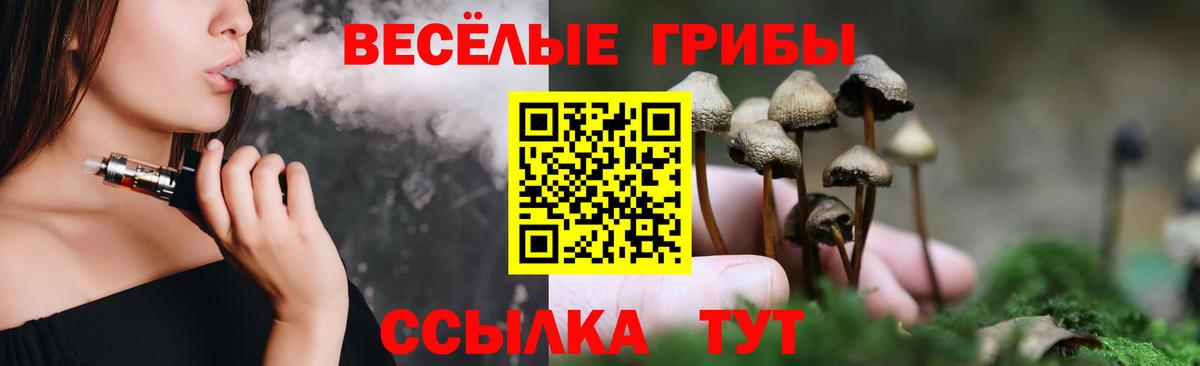 Балтийск  Галлюциногенные грибы Psilocybe  Вход с VPN 